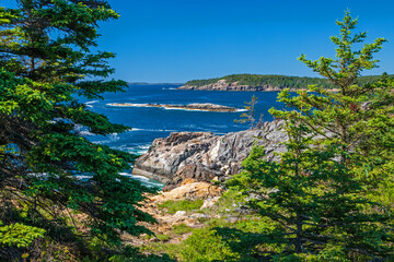 ocean view from rock cliffs and pine trees