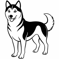 Siberian Husky dog vector illustration of a dog,animal,