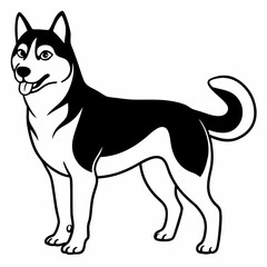 Siberian Husky dog vector illustration of a dog,animal,