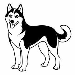 Siberian Husky dog vector illustration of a dog,animal,