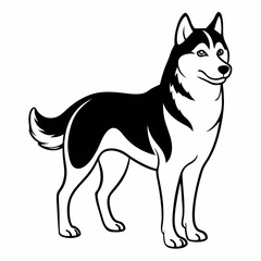 Siberian Husky dog vector illustration of a dog,animal,