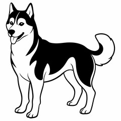 Siberian Husky dog vector illustration of a dog,animal,