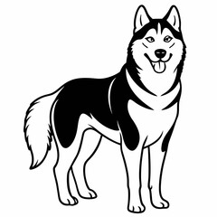 Siberian Husky dog vector illustration of a dog,animal,