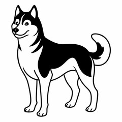 Siberian Husky dog vector illustration of a dog,animal,