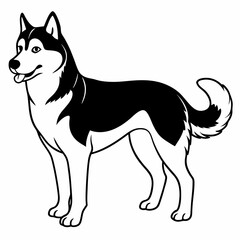 Siberian Husky dog vector illustration of a dog,animal,