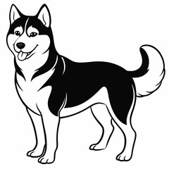 Siberian Husky dog vector illustration of a dog,animal,
