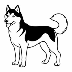 Siberian Husky dog vector illustration of a dog,animal,