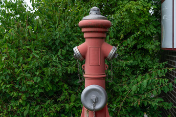 A vibrant red fire hydrant standing prominently against a backdrop of lush green bushes, featuring...