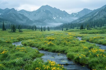 Obraz premium Mountain Stream and Wildflowers.