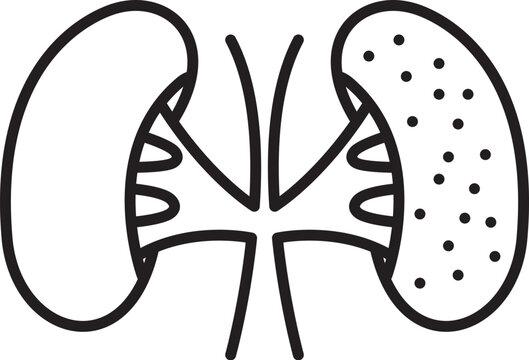 kidney icon 