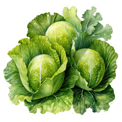 Fototapeta premium Watercolor Lettuce, clipart Illustration, Generative Ai