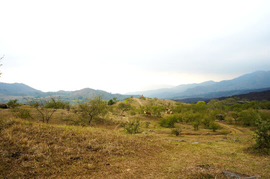 Llanura cerda del Volc&aacute;n