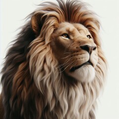 lion isolated on white background