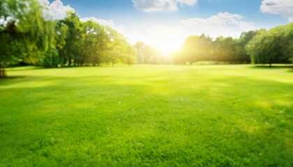 bright sun in green summer park and sky