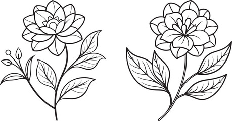 Line Art for Elegant Floral Illustrations