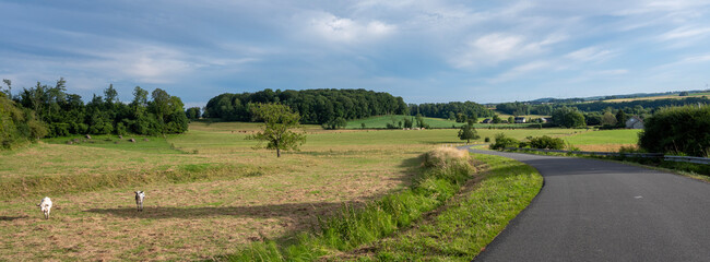 country road winds through rural countryside of french ardennes