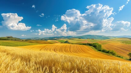 A picturesque landscape background featuring rolling hills covered in golden wheat fields, with a clear blue sky and fluffy white clouds above, creating a peaceful and idyllic scene that celebrates