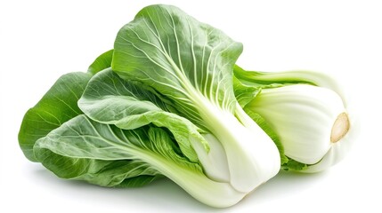Baby pak choi against white backdrop