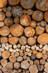 Pile of carefully stacked logs