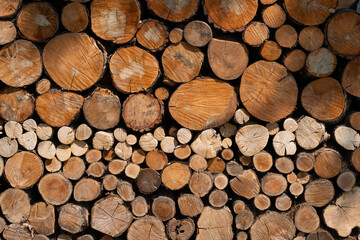Pile of carefully stacked logs