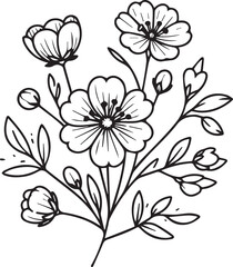 Vector illustration of a beautiful carnation flowers bouquet, hand-drawn coloring book of artistic, blossom Spring, isolated on white background, sketch art leaf branch botanic collection for adults