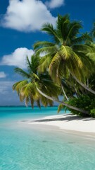 tropical island with palm trees