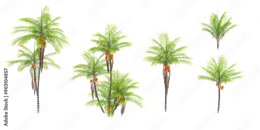 Poster peach palm trees collection with realistic style