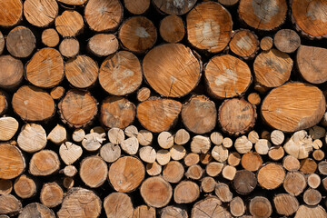 Pile of carefully stacked logs