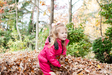 Cute caucasian happy toddler girl playing in fallen leaves in the backyard enjoying the autumn season. Fallen leaves fun. Happy childhood concept