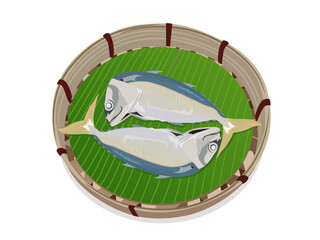 Rastrlliger neglectus on a white background.