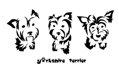 Stylized Yorkshire Terrier. Vector drawing of a small dog. Gestalt animal design