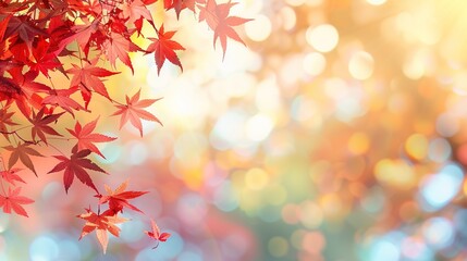 Fototapeta premium autumn background with leaves