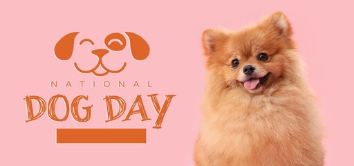 Cute spitz on pink background. Banner for National Dog Day