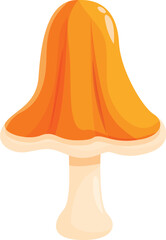 Bright orange mushroom growing in the woods, with a thick stem and wavy cap