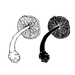Line sketch, silhouette stamp of forest mushrooms toadstools. Vector graphics.