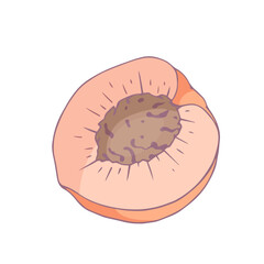 Ripe juicy peach fruit. Vector graphics.