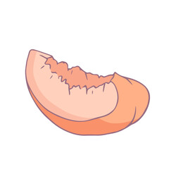 Ripe juicy peach fruit. Vector graphics.
