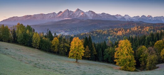 South Poland Panorama with snowy Tatra mountains in autumn. Poland autumn hills.
Fall in Poland. Beautiful Polish landscape.