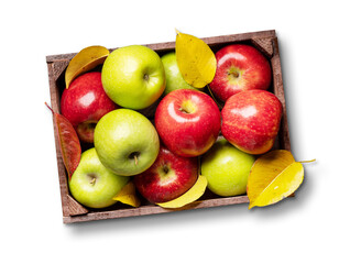 Red and green garden apples