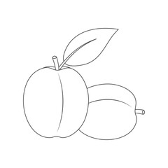 Apricot, plum. Coloring page for kids. black and white image for drawing. Card with outline apricots or plums.