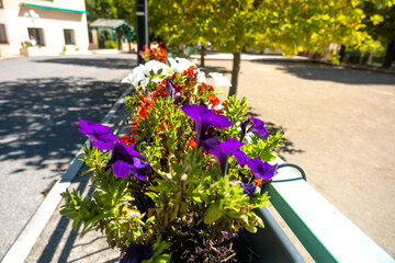 flowers in concrete flower bed in small Southern French Alps village