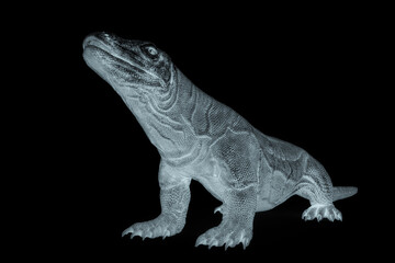 komodo dragon is looking up in white background