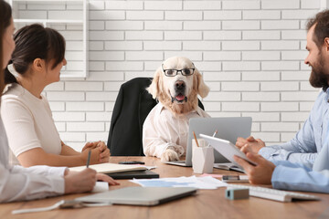 Cute funny Labrador dog dressed as businessman with business team during meeting in office