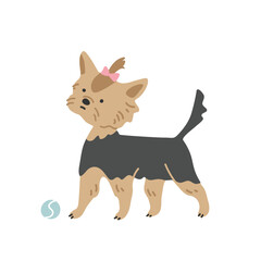 Cute cartoon dog yorkshire terrier playing ball. Vector illustration.