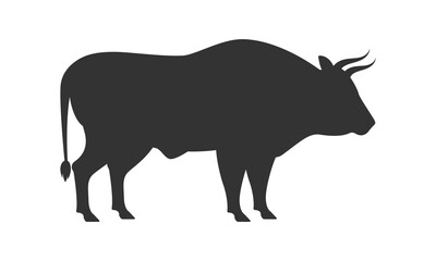 Bull isolated on white background. Vector illustration.