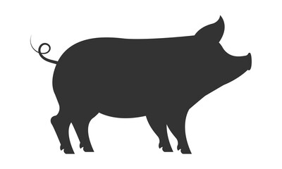 Pig silhouette on white background. Vector illustration.