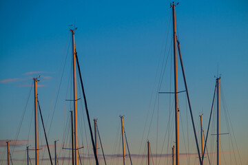 Masts of sailboats in a marina at sunset.