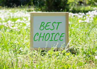 Best choice symbol. Best choice white chalk blackboard. Beautiful meadow background. Business and...