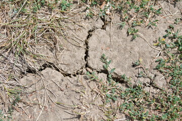 Crack in Dry Dirt