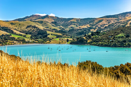 Akaroa Bay, Canterbury, South Island, New Zealand, Oceania.